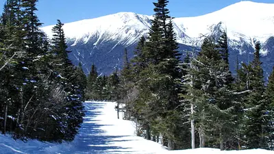Blick auf eine Piste am oberen Wildcat Mountain