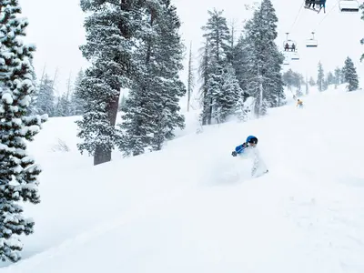 Powdern im Sugar Bowl Resort © Sugar Bowl Resort