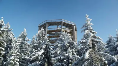 Der Lipno Treetop Walkway