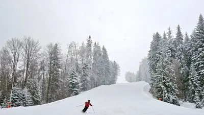 Piste im Skigebiet Schirk