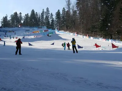 Blick auf die Piste © Andrei Dan Suciu via Wikimedia Commons