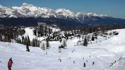 Skifahrer auf einer Piste im Vogel Ski Center
