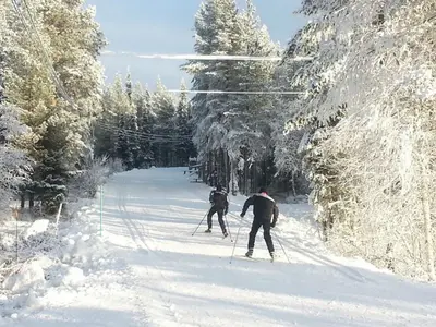 Langläufer im Skigebiet Ski Levi © Levi Ski Resort