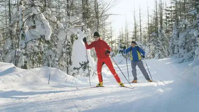Langläufer im Skigebiet Tahko