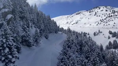 Pisten im Skigebiet Cerler