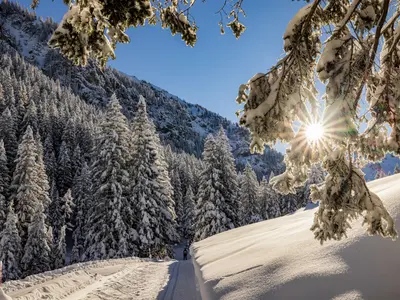 Winter in den Wäldern von Liechtenstein © Liechtenstein Marketing