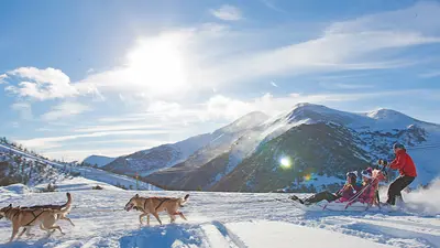 Hundeschlittenfahrt im Schnee
