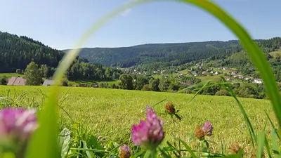 Blick auf Warmensteinach