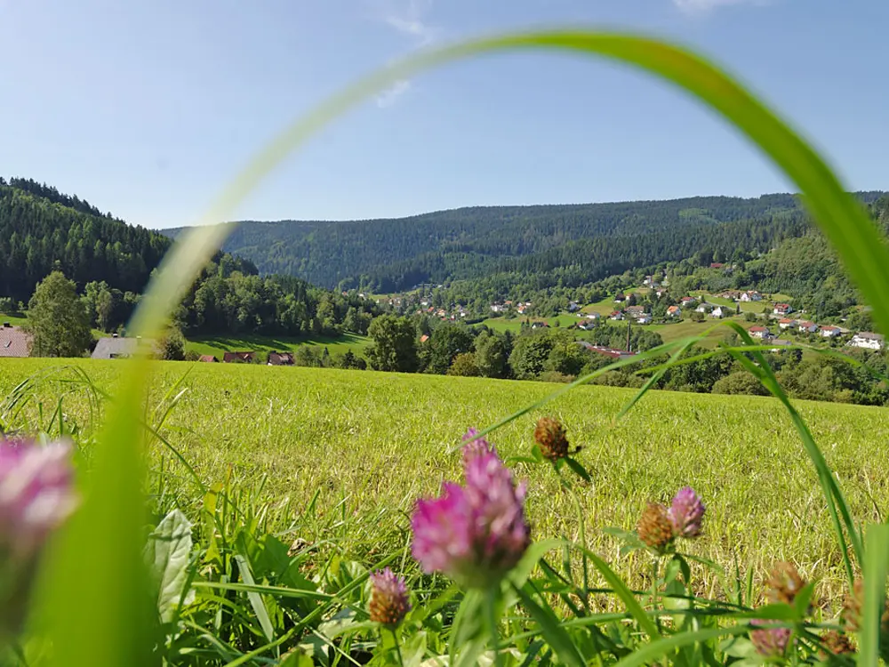 Blick auf Warmensteinach