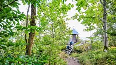 Felsenlabyrinth Luisenburg
