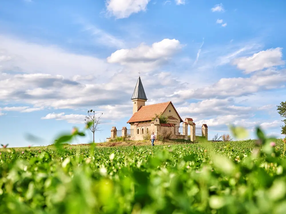 Kappl bei Höchstädt