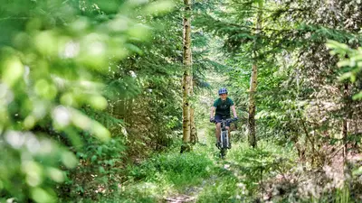 Mountainbiken im Fichtelgebirge