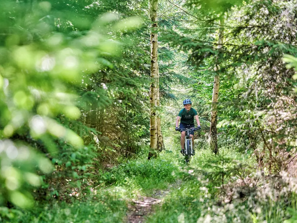 Mountainbiken im Fichtelgebirge