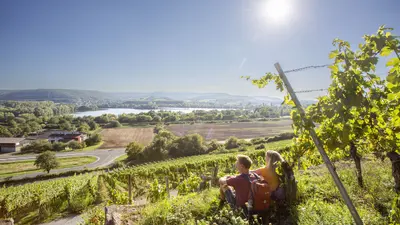 Wanderung in den Weinbergen in Haßberge