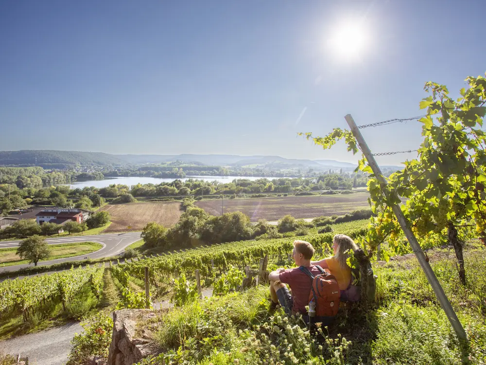 Wanderung in den Weinbergen in Haßberge