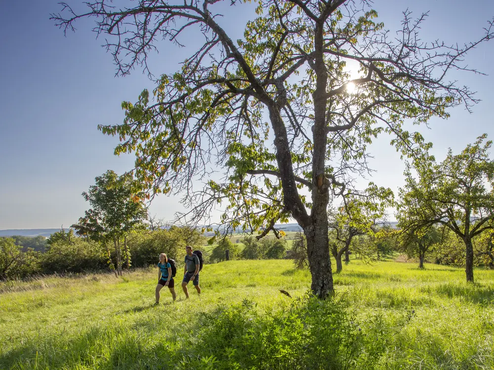 Wandern in der Region Haßberge