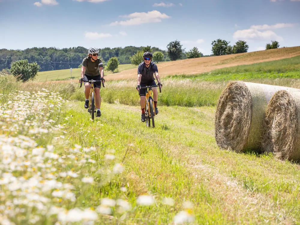 Mountainbikefahrer in der Haßberger Natur