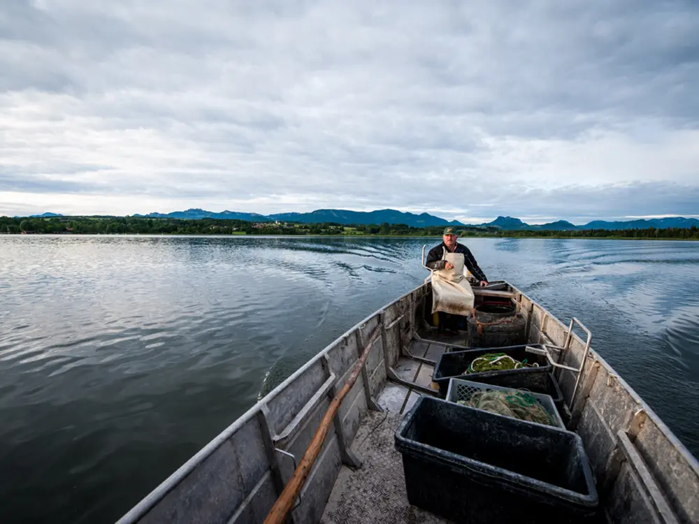 Fischer am Simssee