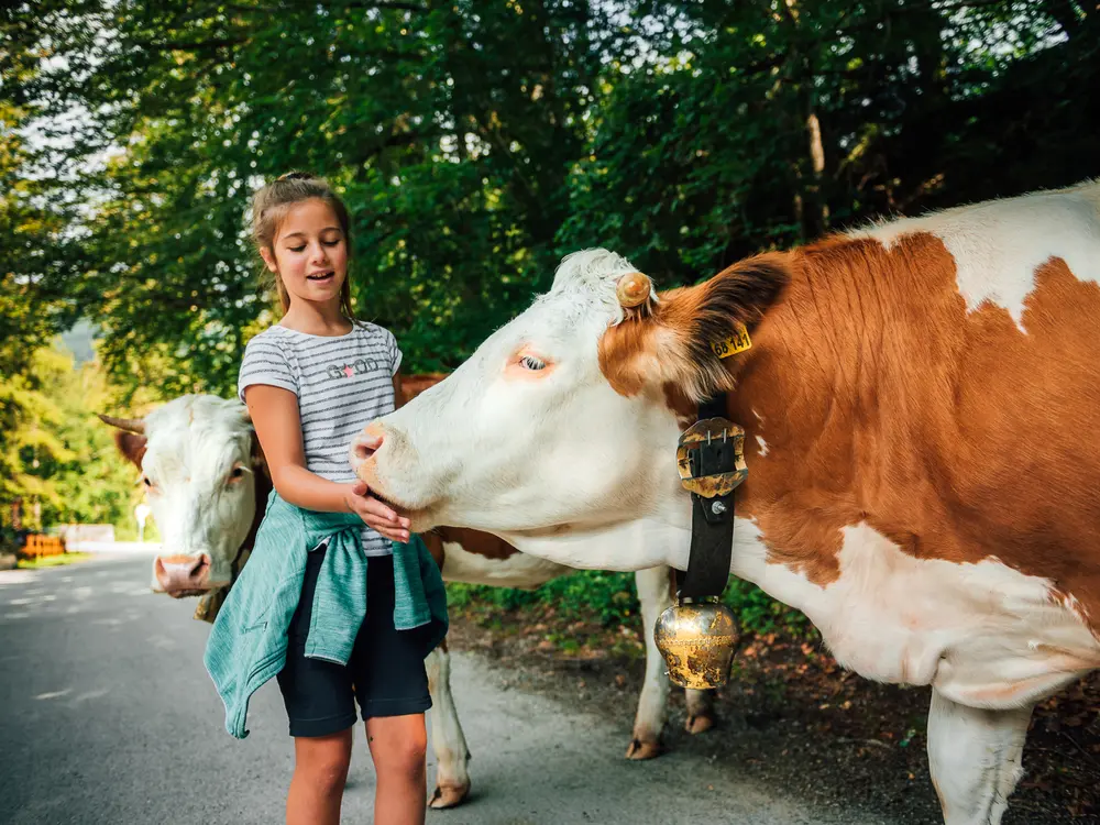 Der Erlebnissweg an der Weissach – ein Naturschauspiel und Ferienspaß für die ganze Familie.