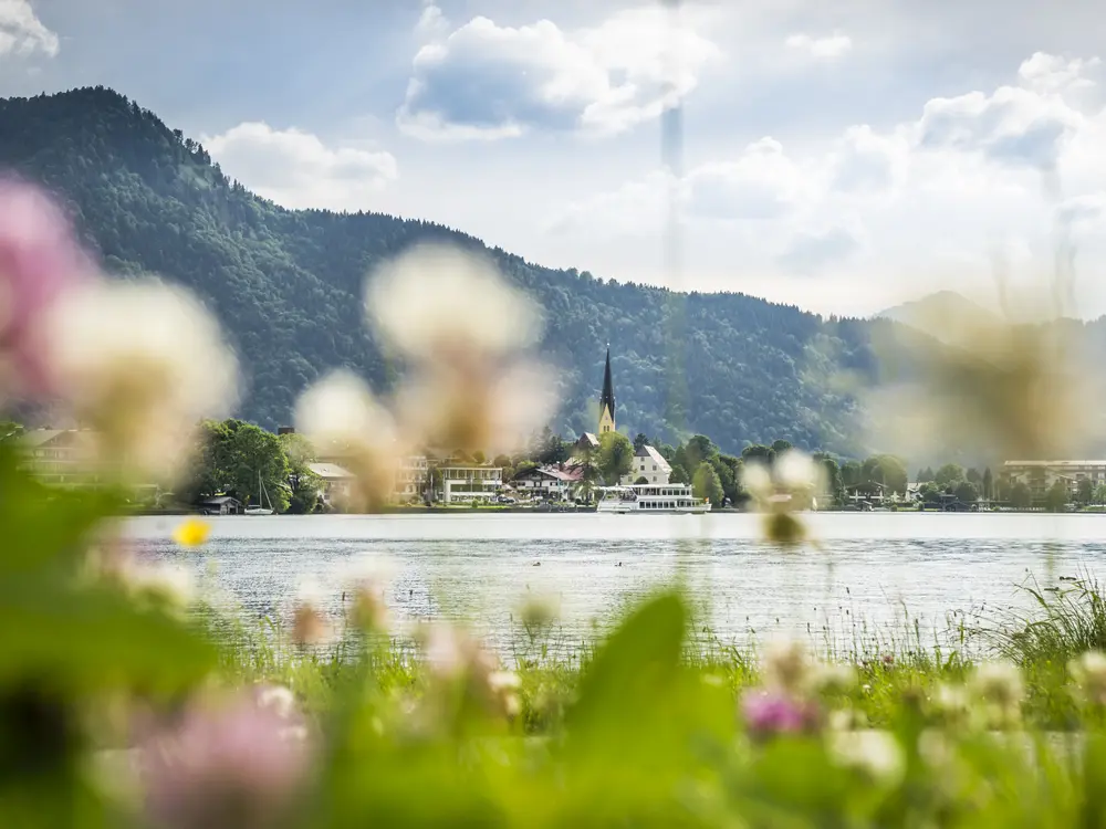 Blick durch Blumenwiese über den See nach Rottach-Egern