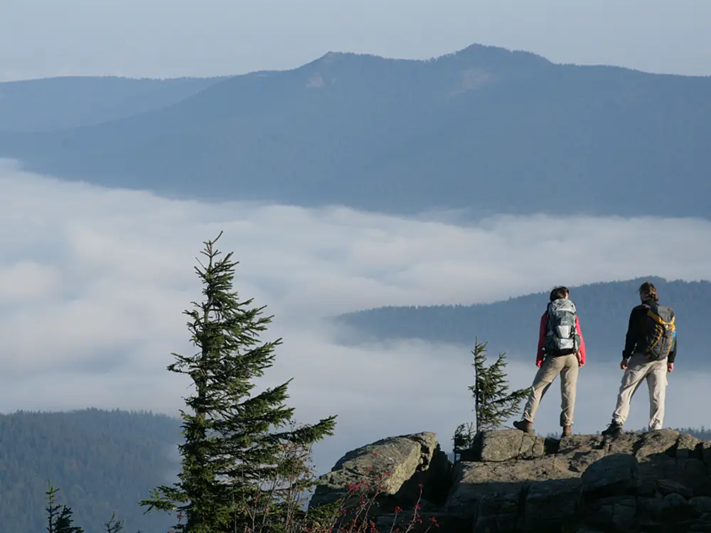 Auf dem Goldsteig am Großen Arber