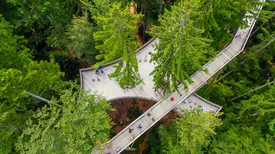 Baumwipfelpfad Neuschönau