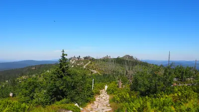 Dreisessel Gipfelblick