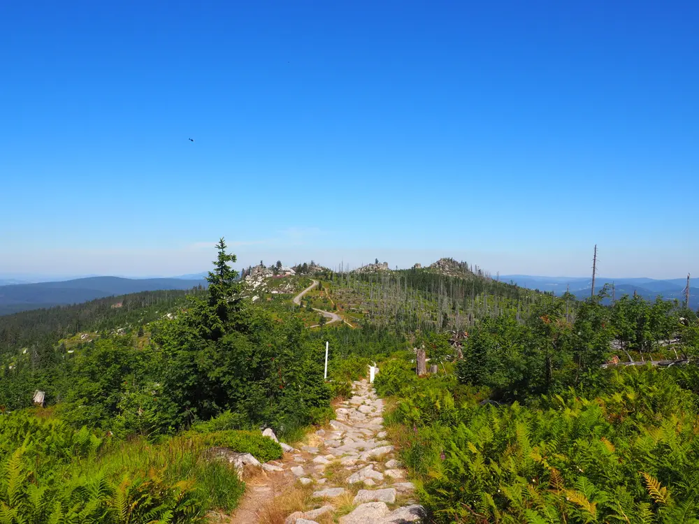 Ausblick vom Dreisessel