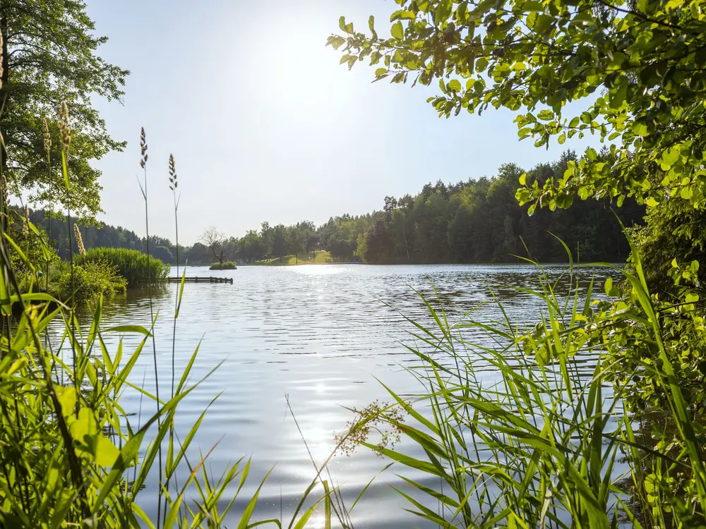 Eginger See ist ein natürlicher, aufgestauter Badesee im Gebiet der Gemeinde Eging a. See im südlichen Bayerischen Wald.