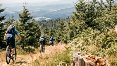 Mountainbiken im Bayerischen Wald