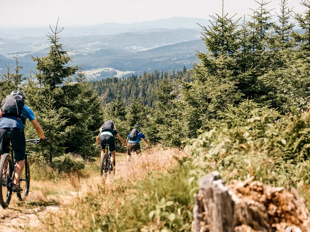 Biker am Dreisessel auf der Trans Bayerwald
