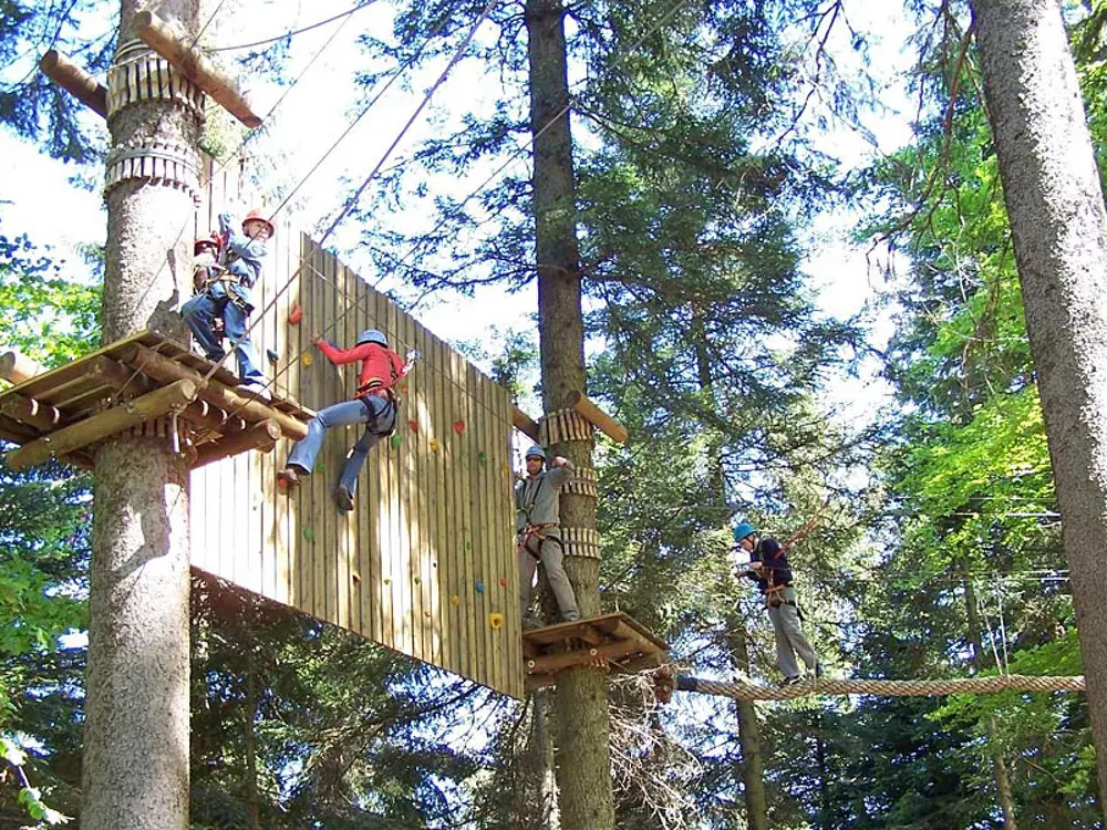 Waldklettergarten am Mehliskopf