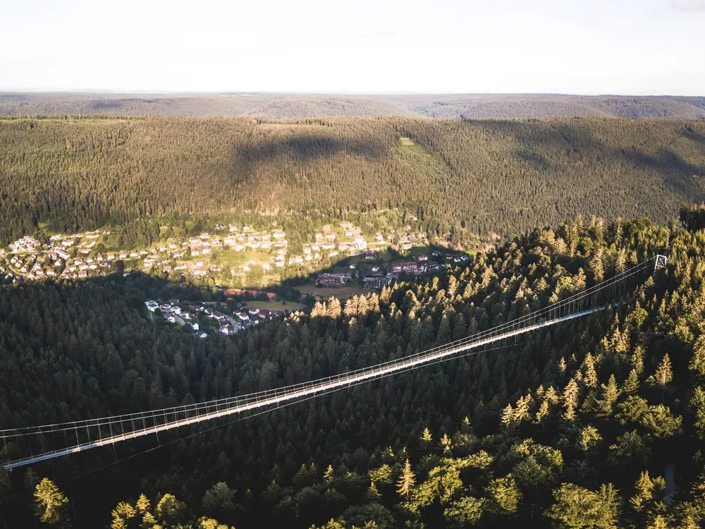 Hängebrücke Wild Line bei Bad Wildbad