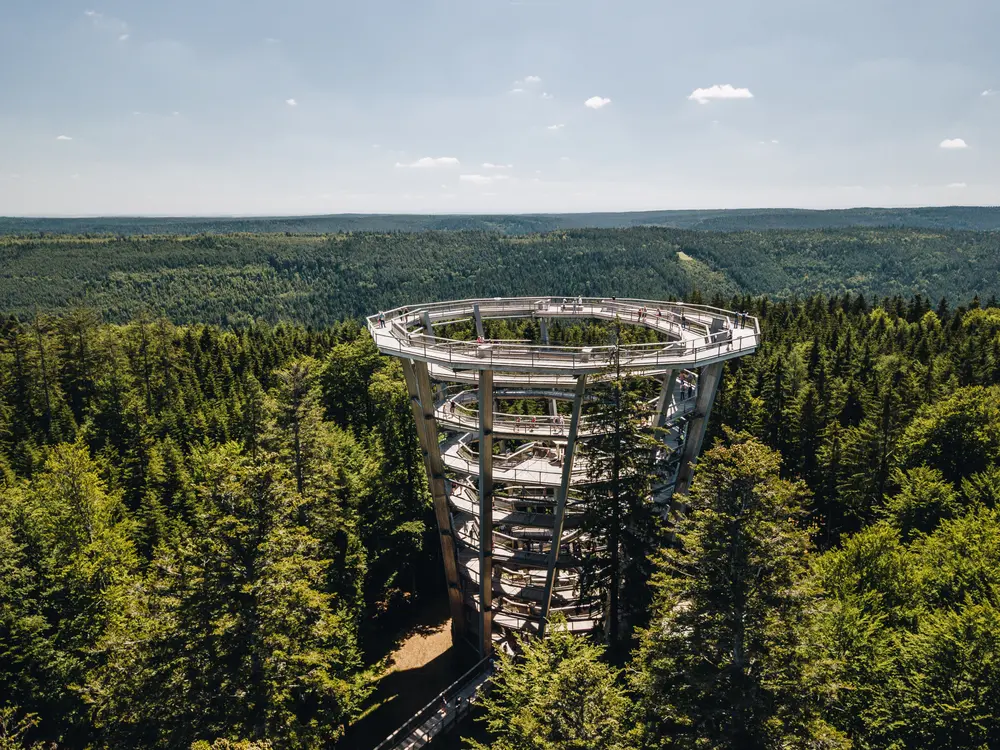 Der Baumwipfelpfad Schwarzwald ist ein 1250 m langer Baumwipfelpfad auf dem Sommerberg westlich von Bad Wildbad