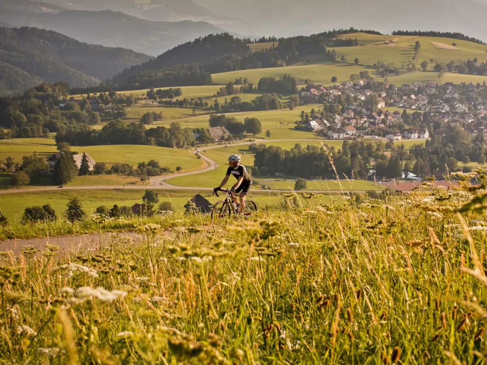 Vom Klosterdorf St. Peter hinauf auf die "Platte" weiter Richtung Kandelgipfel.