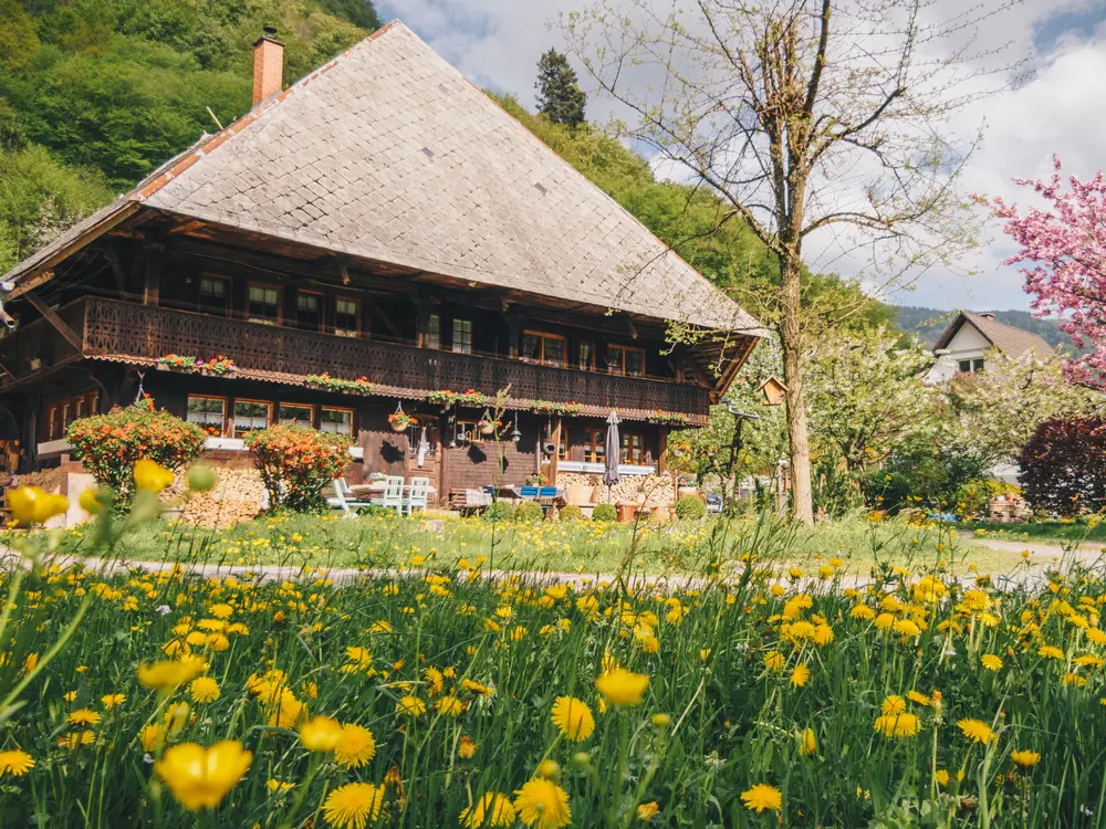 Schwarzwaldhaus im Wiesental