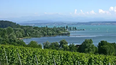 Blick auf den Bodensee Richtung Unteruhldingen