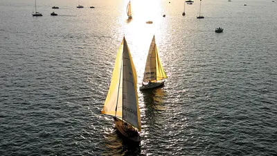 Segelboote auf dem Bodensee
