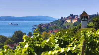Weinberge bei Meersburg