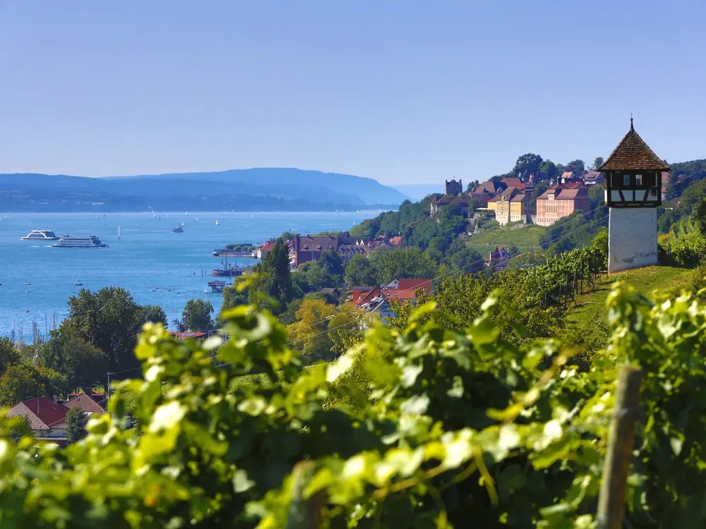Weinberge bei Meersburg