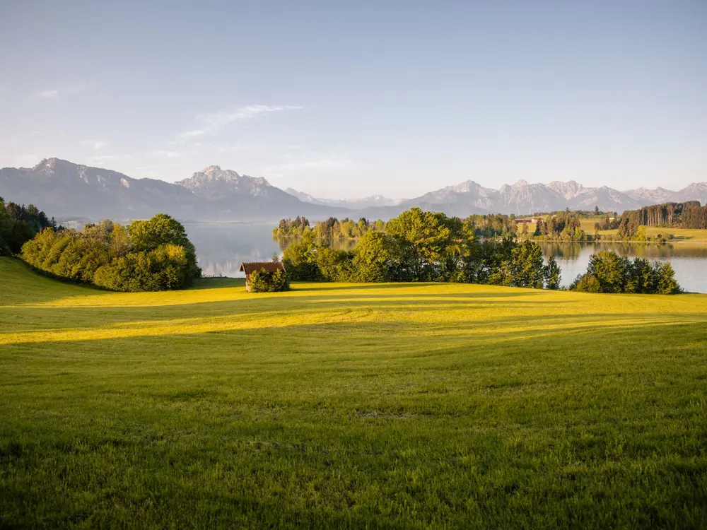 Am Ufer des Forgensees
