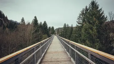 Baumwipfelweg bei Füssen