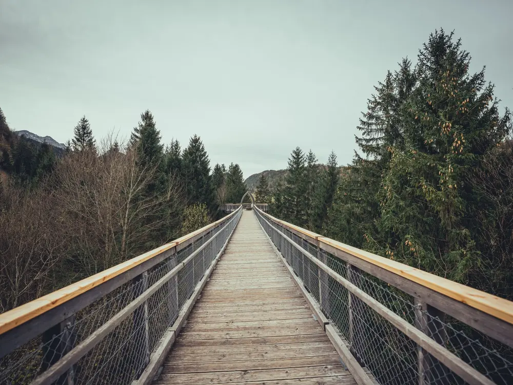 Baumwipfelweg bei Füssen