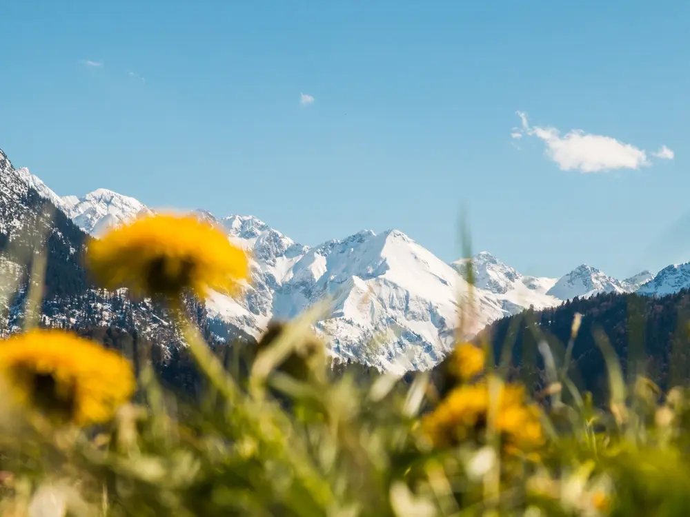 Allgäuer Alpen bei Oberstdorf