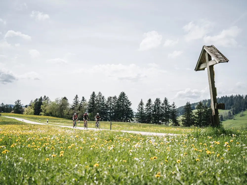 Radfahrer bei Weiler-Simmerberg