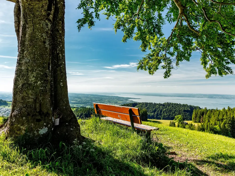 Aussicht vom Bänkli auf dem Kaienspitz bis zum Bodensee.