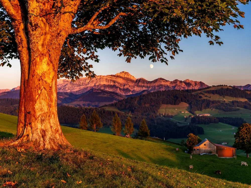 Sicht von Schwellbrunn zum Säntis und Vollmond
