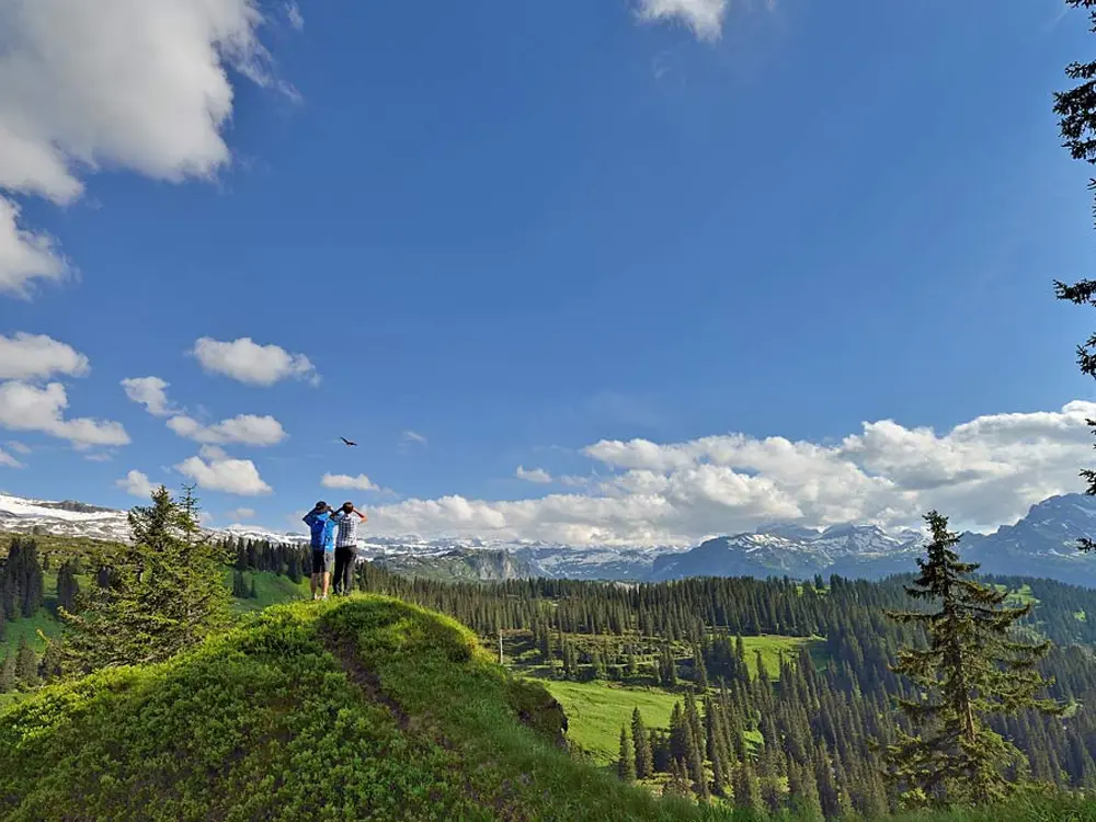 Blick auf den Bödmeren-Urwald bei Muotathal