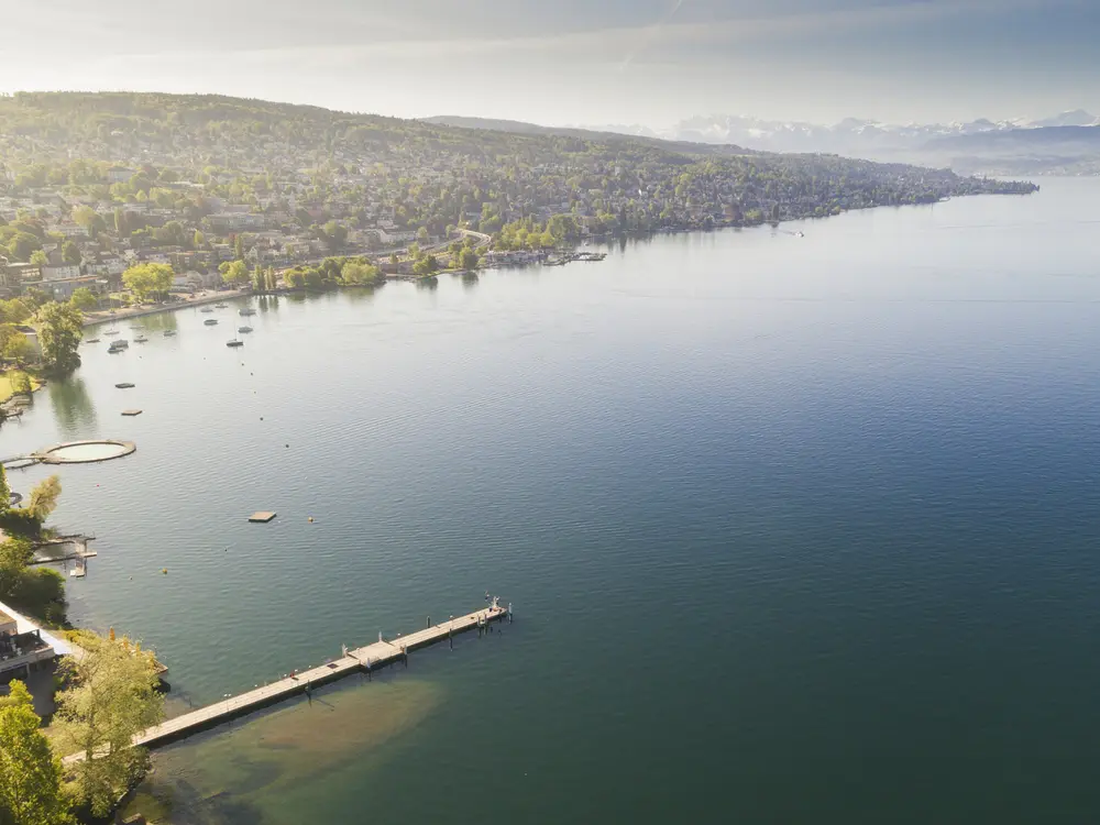 Blick auf den Zürichsee