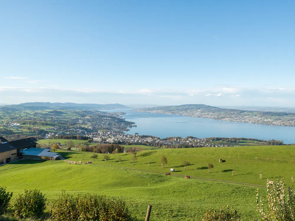 Wanderung am Zürichsee